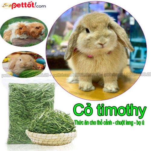 Cỏ timothy – thức ăn cho thỏ cảnh, bọ ú, chuột lang 500g