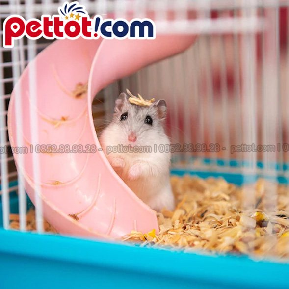 lồng Hamster tại Pettot.com