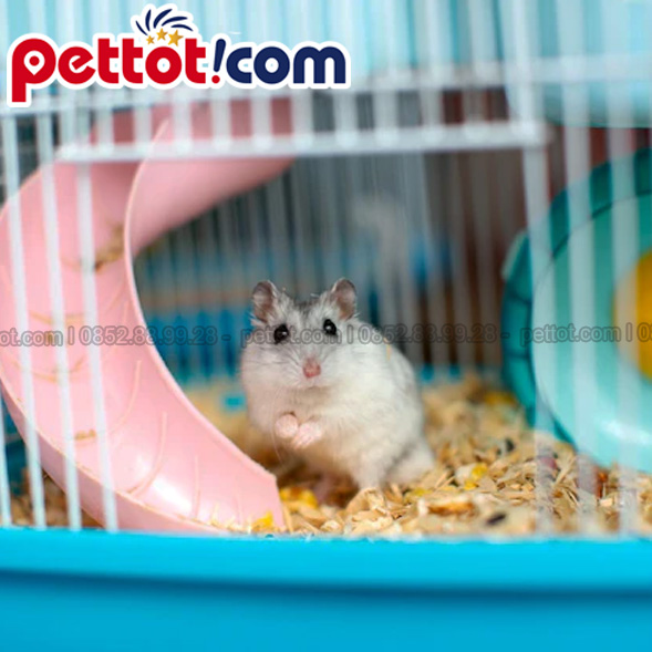 Thức ăn cho chuột Hamster