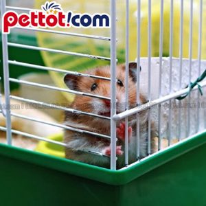 hướng dẫn chọn lồng chuột Hamster