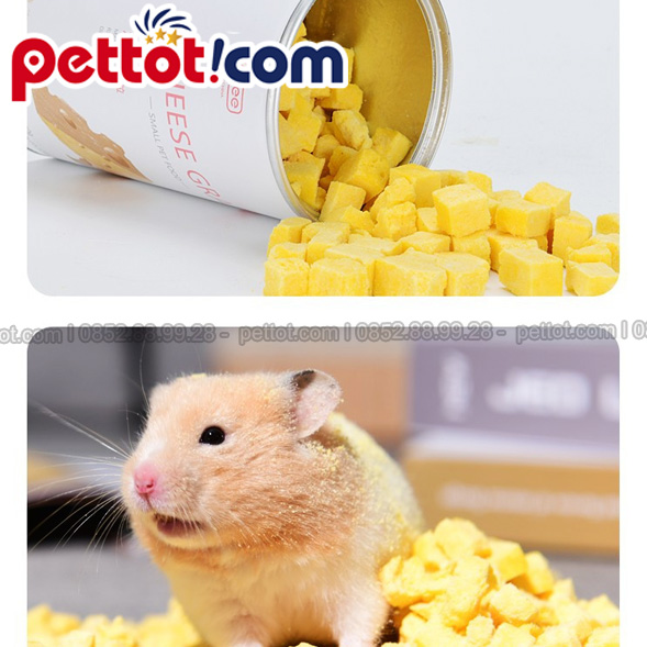 Phô mai cho chuột Hamster tại Pettot.com