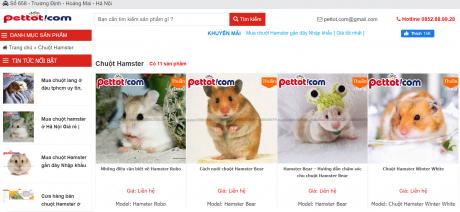 Chuột Hamster giá rẻ chuột ở shop Pettot chính hãng, có nhiều ưu đãi
