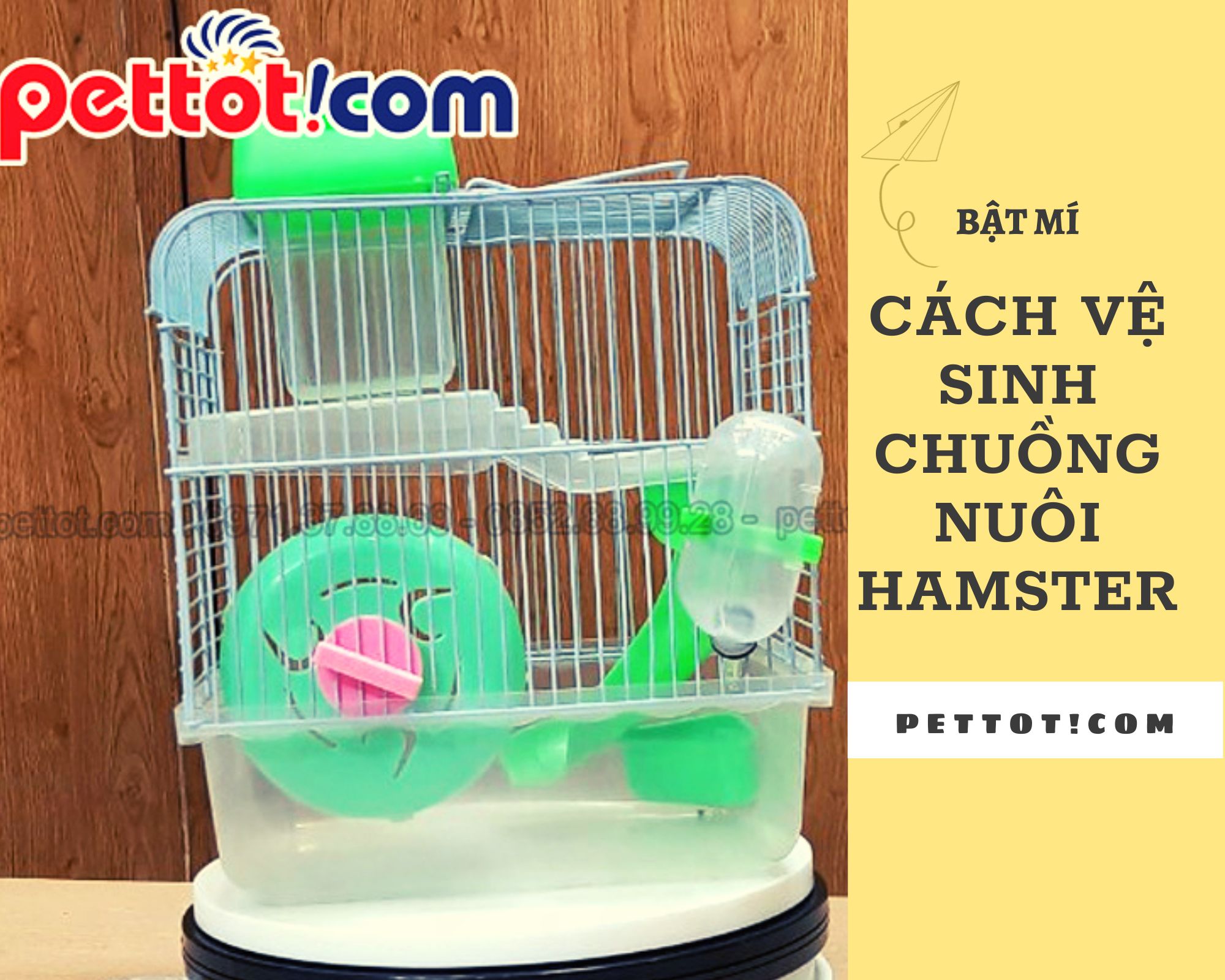Các bước vệ sinh chuồng nuôi hamster đơn giản tại nhà