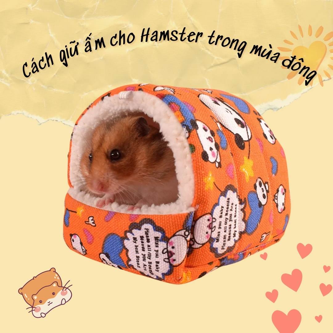 3. Cách giữ ấm cho Hamster trong mùa đông lạnh giá