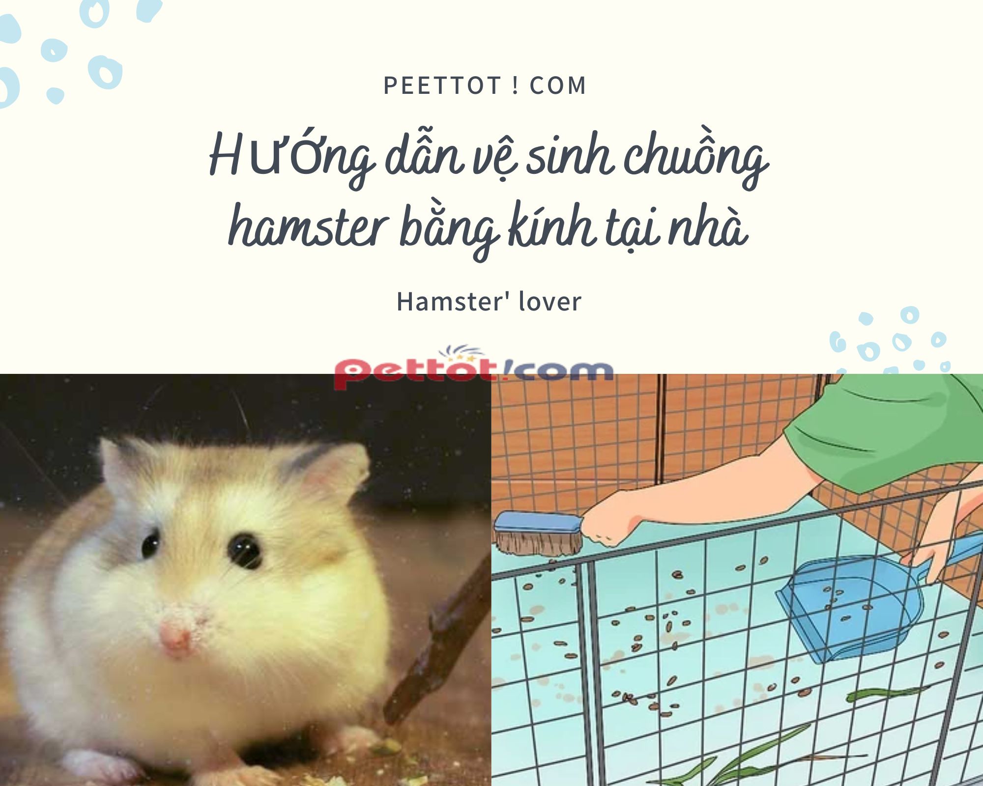 Chuồng hamster bằng kính Giá rẻ【Đầy đủ phụ kiện】