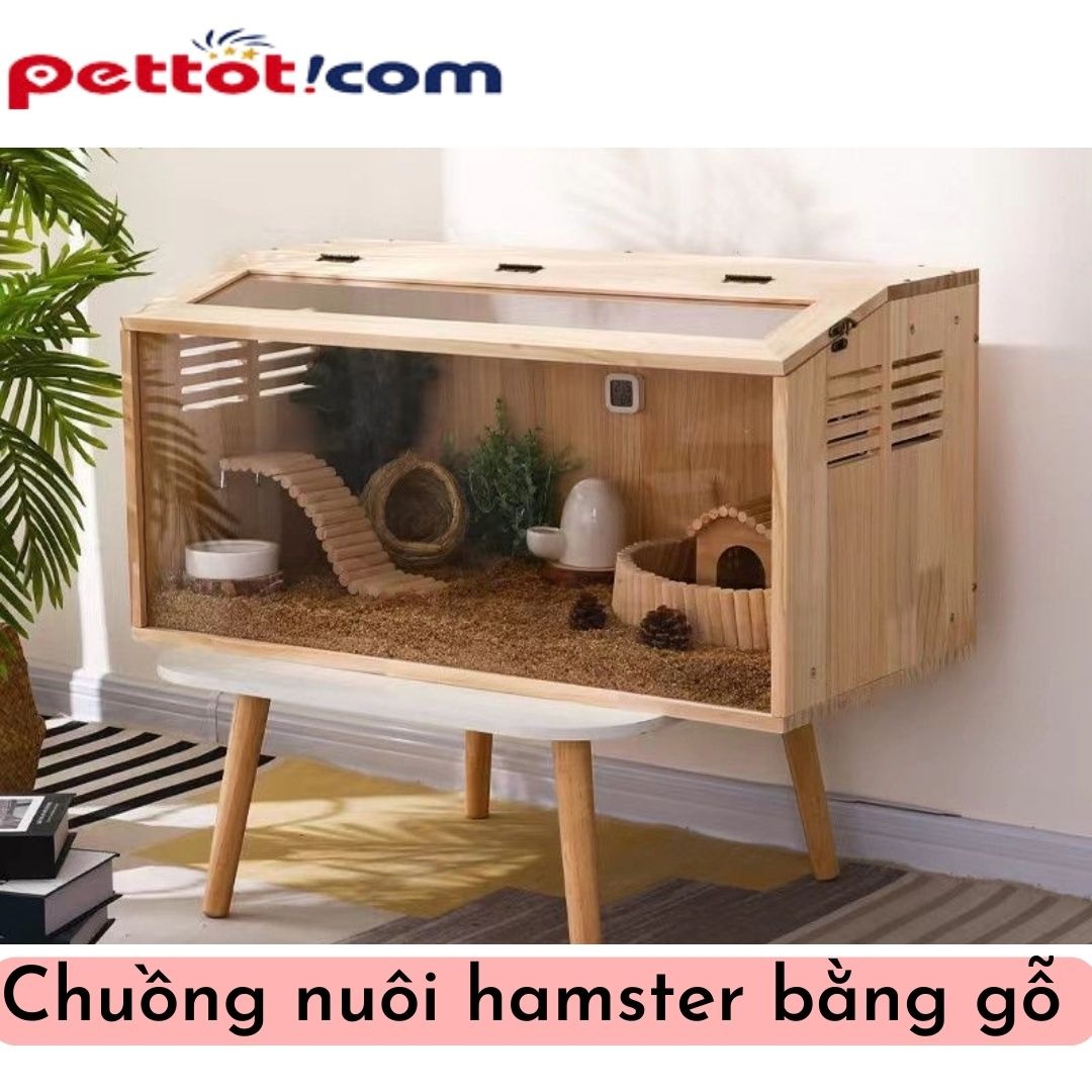 Có nên dùng chuồng nuôi hamster bằng gỗ để nuôi chuột hay không