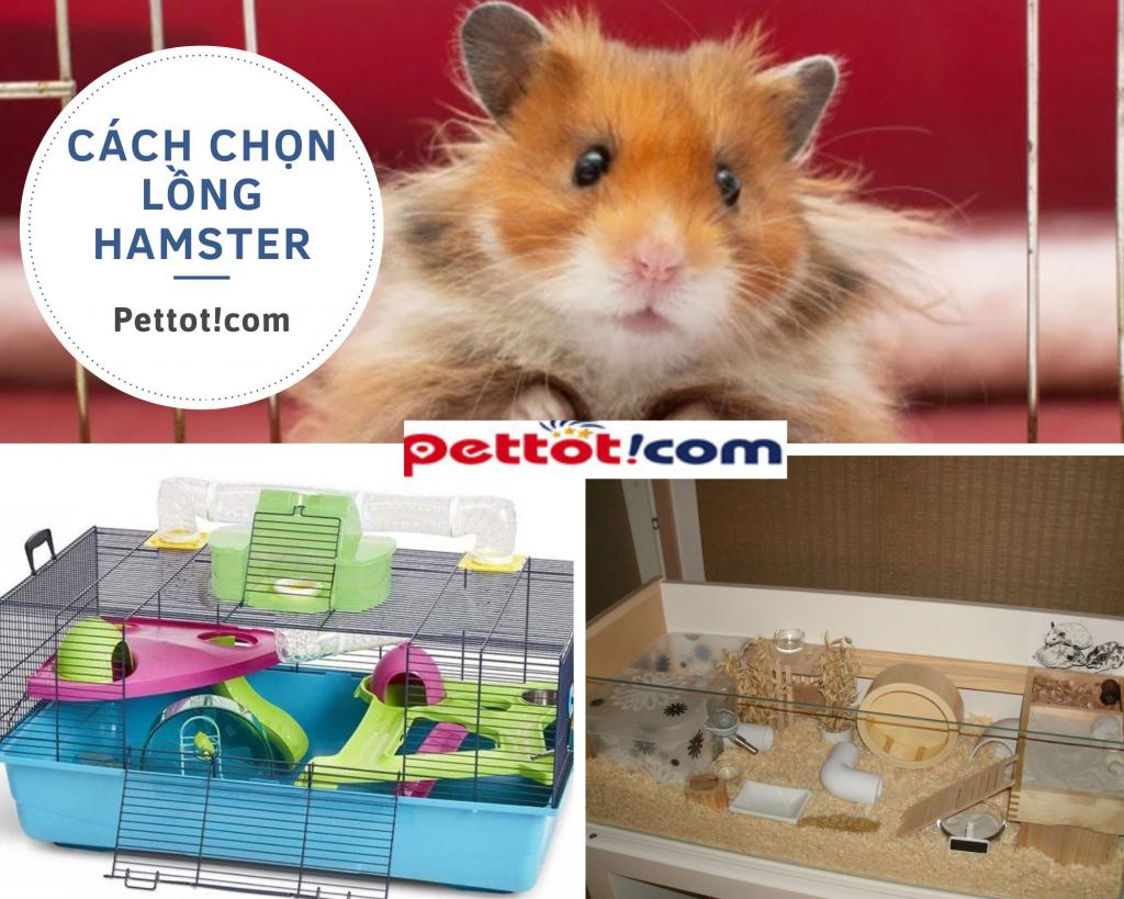 Shop bán chuồng hamster Đẹp | Giá Rẻ nhất