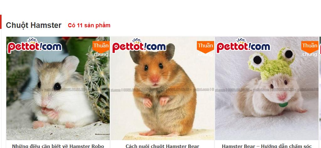 Tìm hiểu về nơi bán chuồng hamster đẹp tại Hà Nội