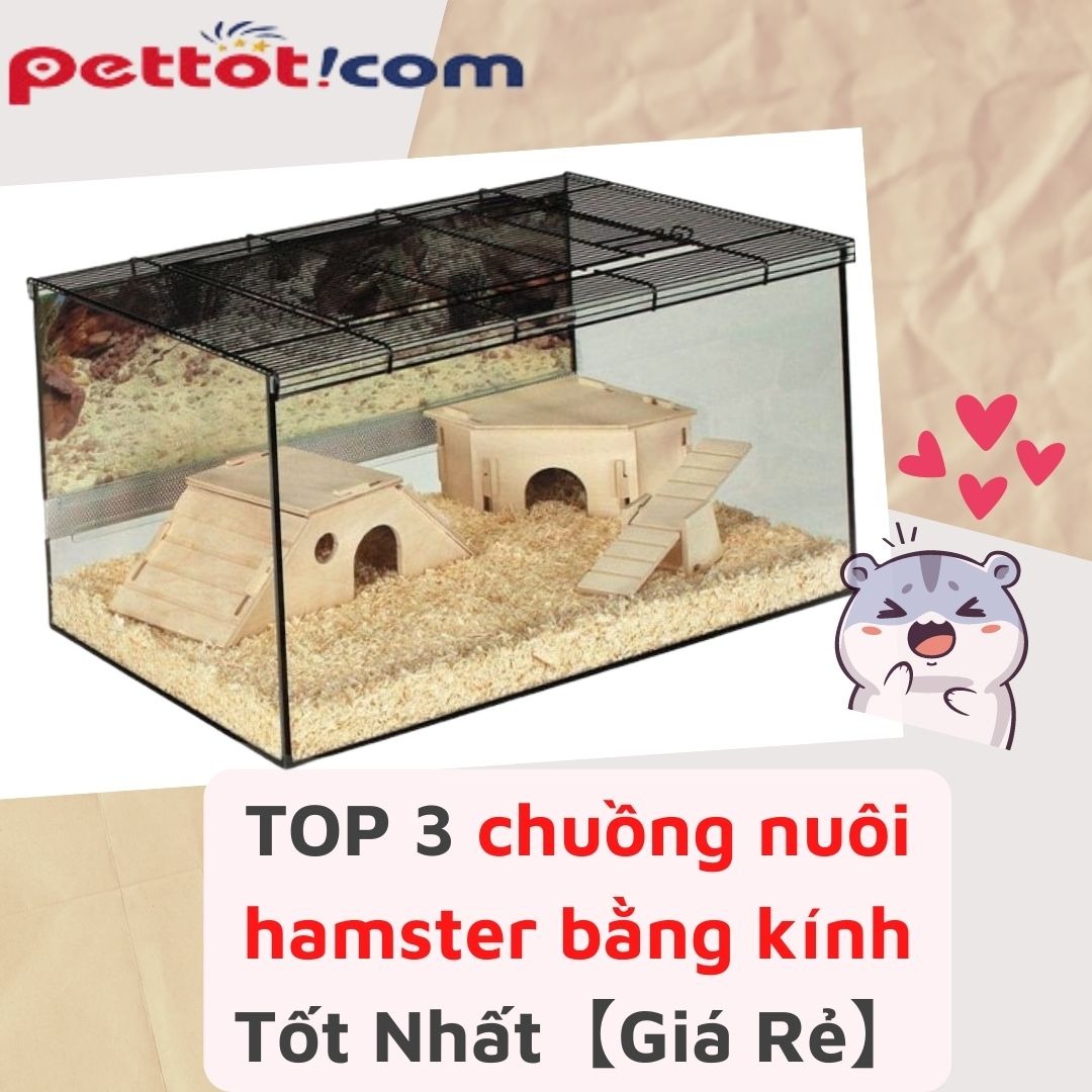 TOP 3 chuồng nuôi hamster bằng kính Tốt Nhất【Giá Rẻ】