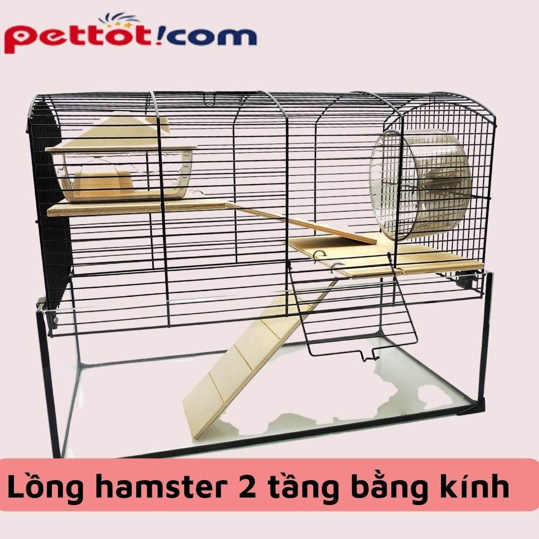 Lồng hamster 2 tầng bằng kính - chuồng nuôi hamster bằng kính