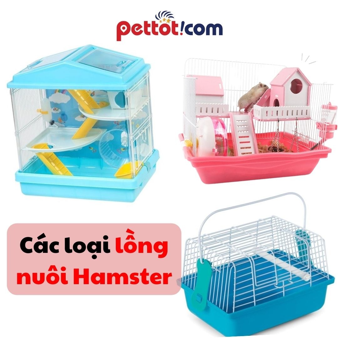 Bật mí nơi mua chuồng nuôi hamster giá rẻ ở Hà Nội!!