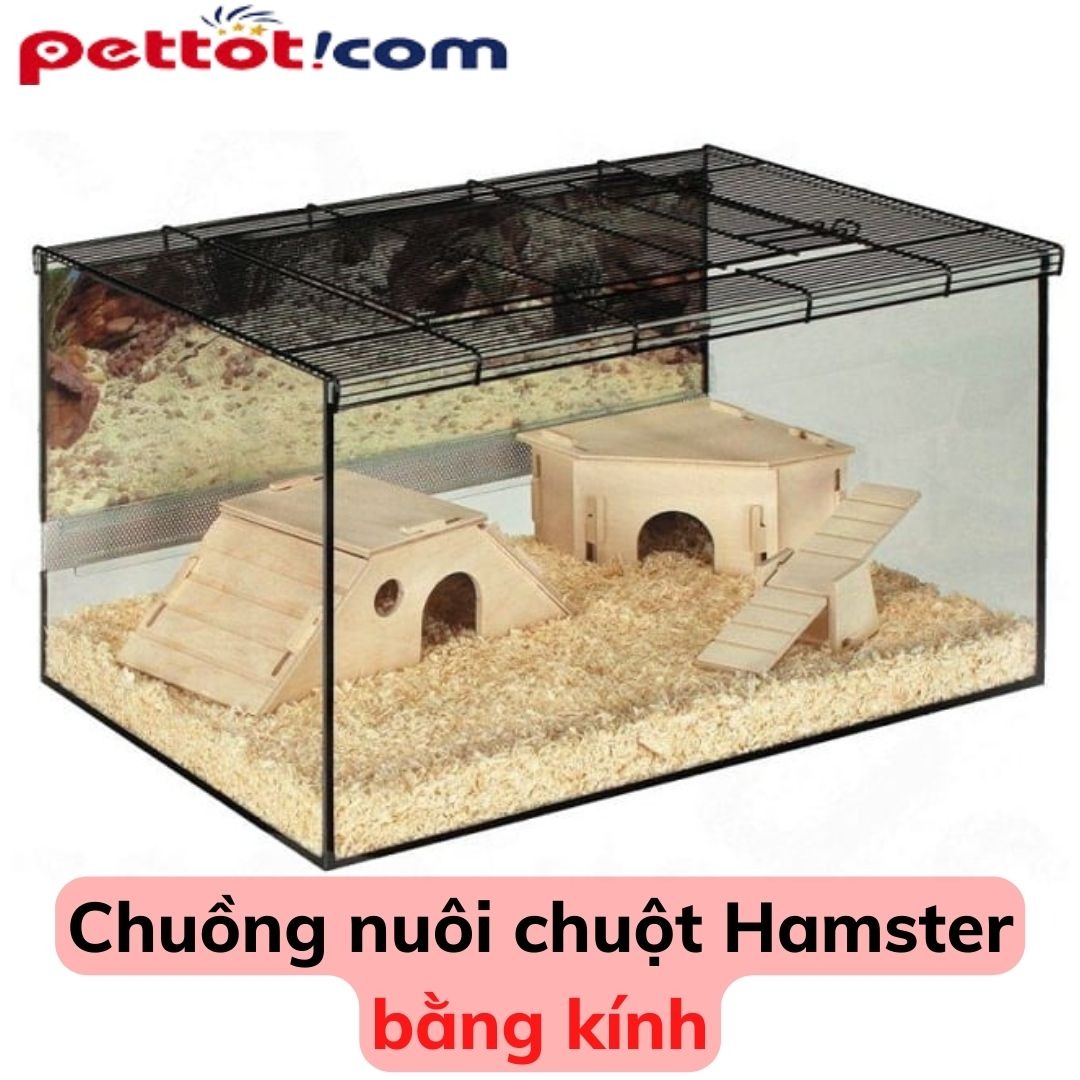 Chuồng nuôi chuột Hamster bằng kính - chuồng Nuôi Hamster Giá rẻ