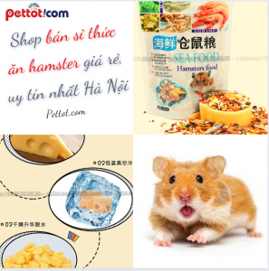 Shop bán sỉ thức ăn hamster giá rẻ, uy tín nhất Hà Nội