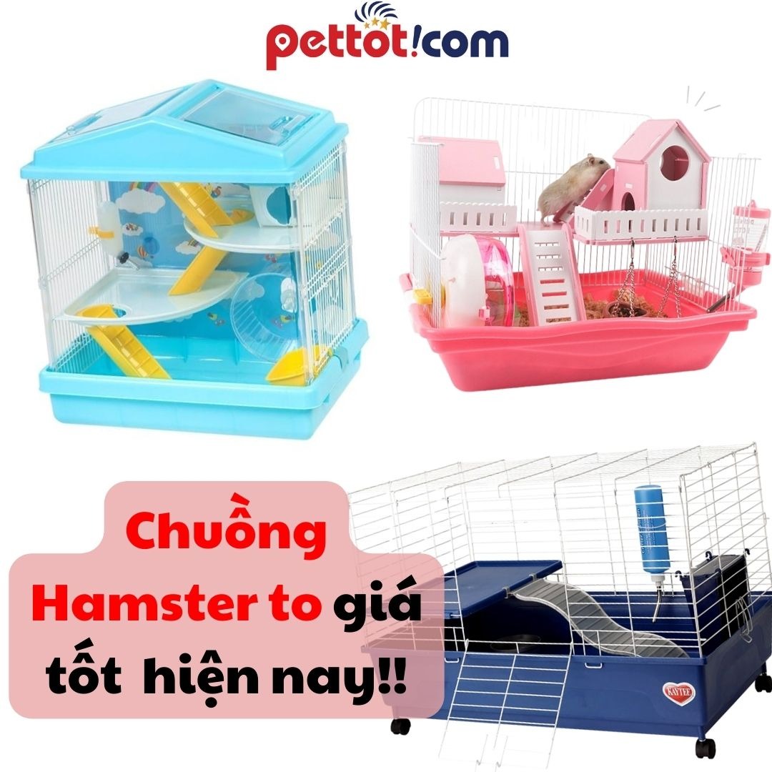 TOP 4 loại chuồng hamster to giá tốt nhất hiện nay!!