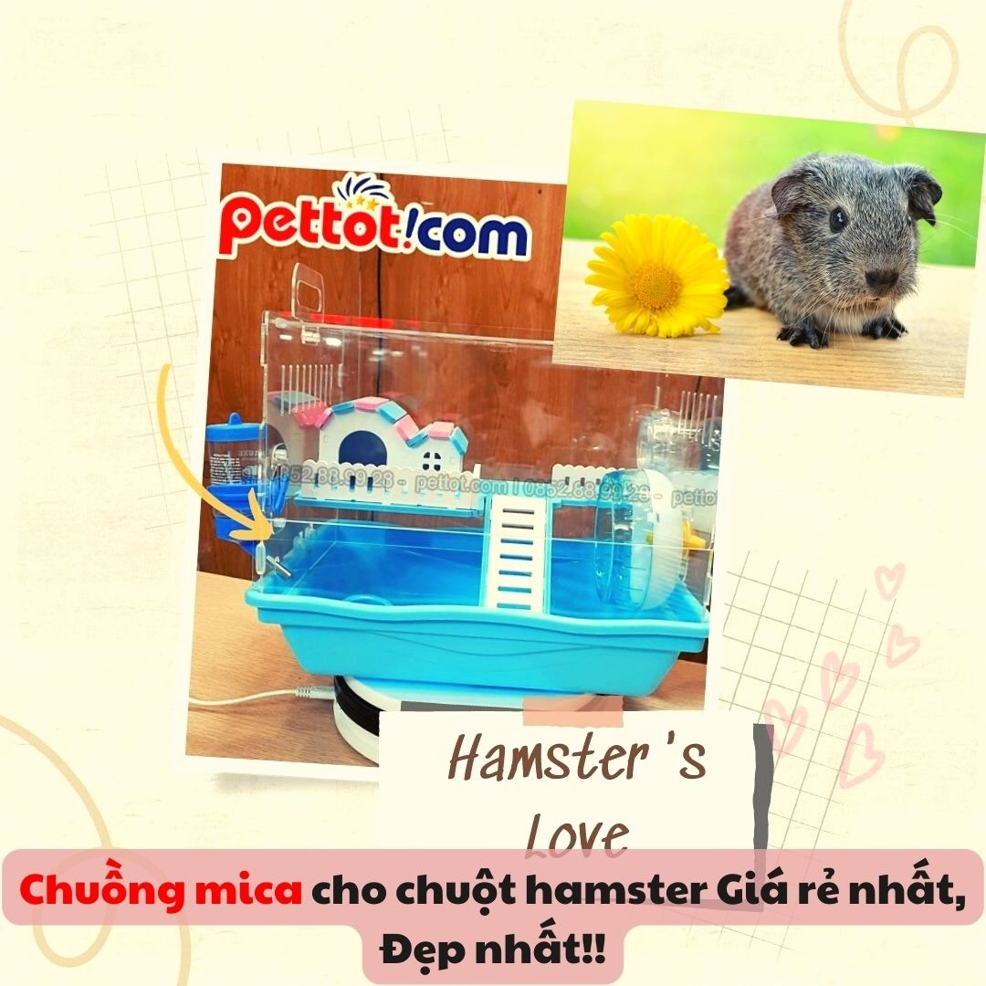 2. Chuồng mica cho chuột hamster có đắt không?