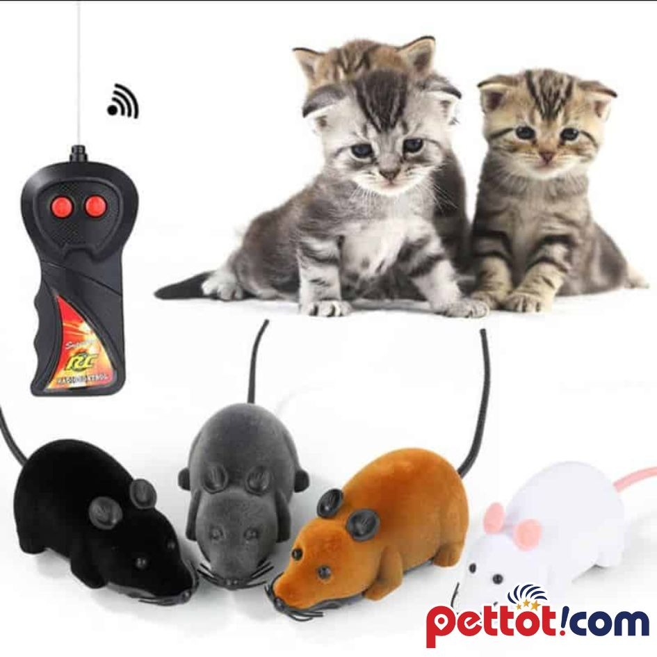 Gumi Pet Shop - Kho Sỉ đồ cho thú cưng Giá Rẻ tốt nhất