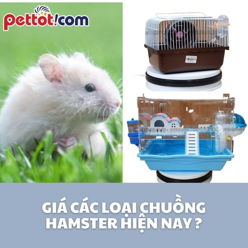 Giá chuồng hamster bao nhiêu tiền hiện nay? 
