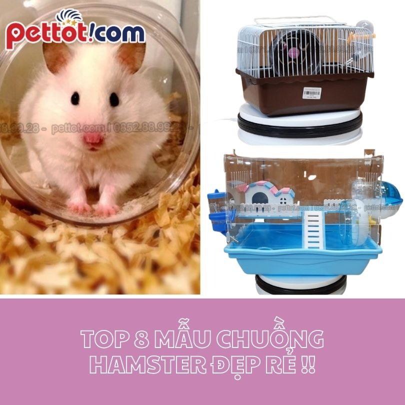 Top 8 mẫu chuồng hamster Đẹp Rẻ, Phổ biến nhất hiện nay!!