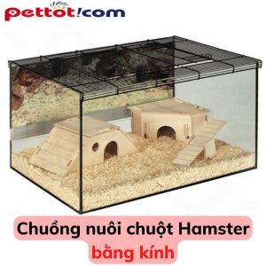 Giá chuồng hamster bao nhiêu tiền hiện nay? 