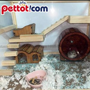 setup chuồng nuôi hamster