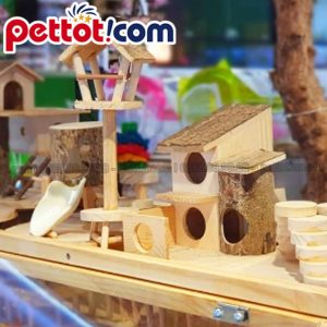 thiết kế chuồng nuôi hamster