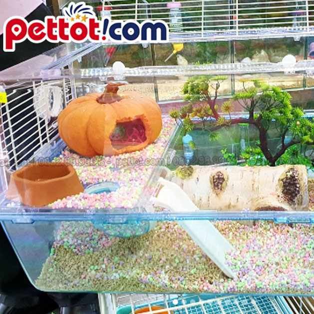 Hướng dẫn cách dọn chuồng hamster cực nhanh mà vẫn sạch 100%