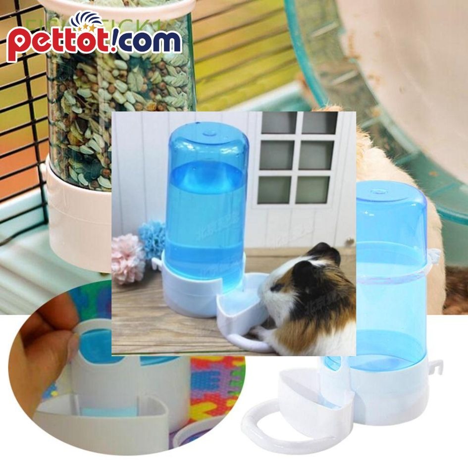 Bình nước cho chuột Hamster - Tại sao cần cho hamster uống nước thường xuyên?