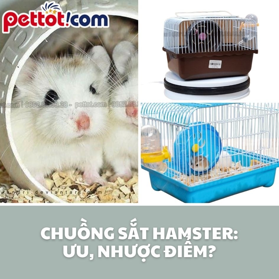 Chuồng sắt hamster: Ưu, Nhược điểm? Cách chọn chuồng cho từng loại?