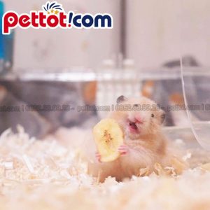giá bán chuồng nuôi hamster