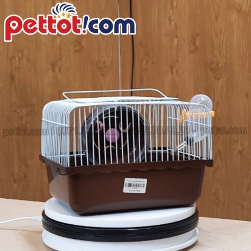 Cho Hamster khám thú y thường xuyên - Lưu Ý khi nuôi chuột hamster
