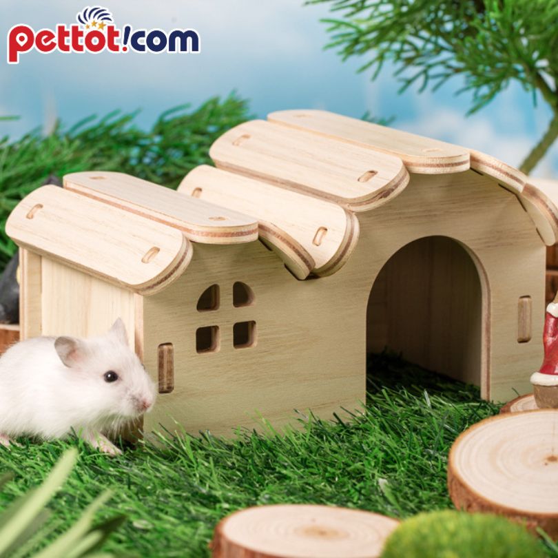 Địa chỉ bán nhà gỗ 1 tầng cho chuột hamster Giá rẻ nhất, Uy tín nhất 