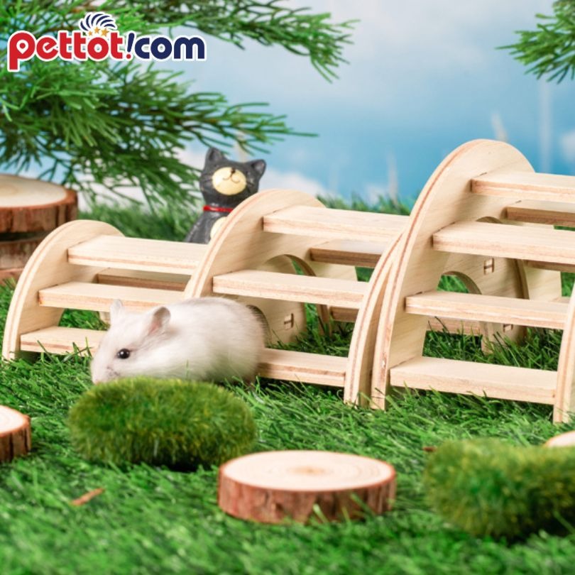 ưu điểm nhà gỗ cho chuột hamster
