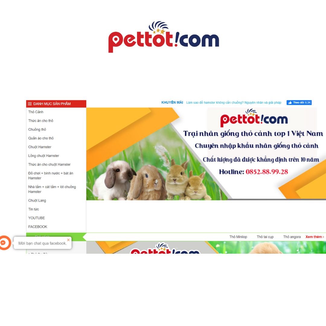 Pettot.com - Địa chỉ bán chuột hamster uy tín trên cả nước