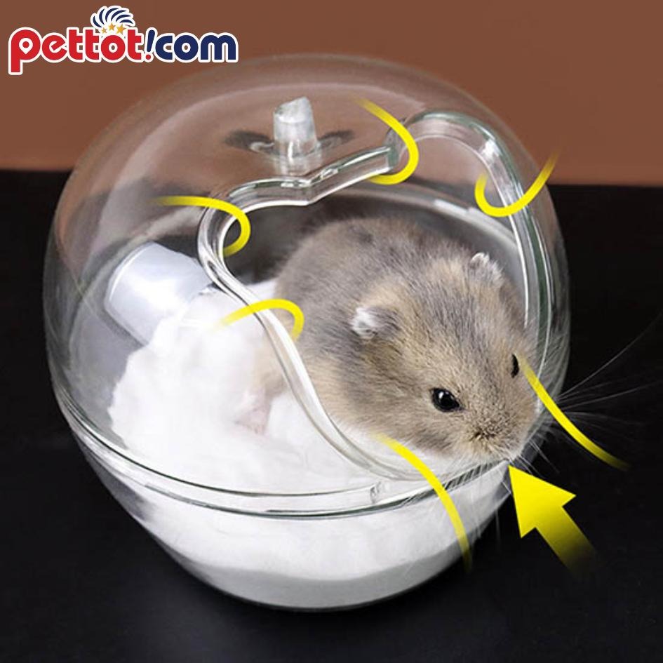 Biểu hiện chính khi chuột hamster bị tiêu chảy