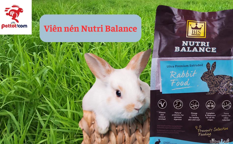 Viên nén Nutri Balance - Thức ăn dinh dưỡng cho thỏ
